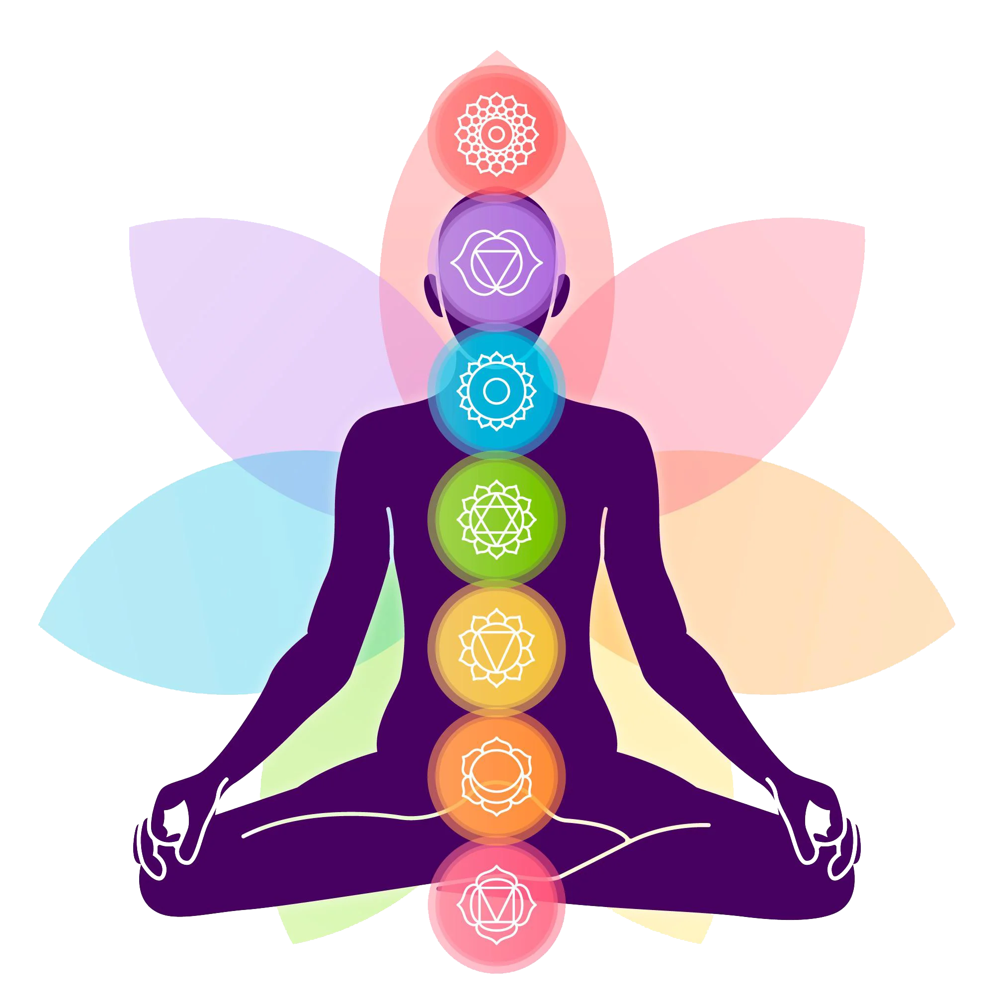 astrology image